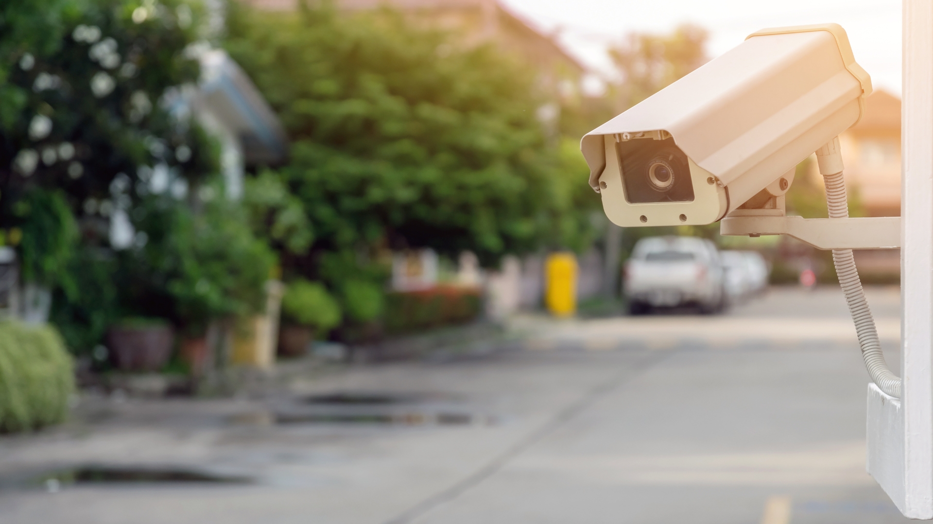 Ultricies fusce porta elit